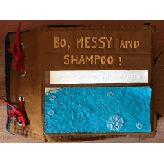 Bo, Messy and Shampoo