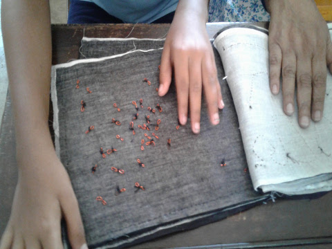 A young girl explores a page from an accessible tactile book.